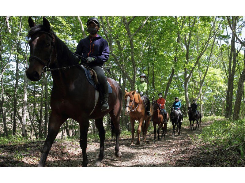 一群男女享受骑马新冠Horoshiri骑马俱乐部