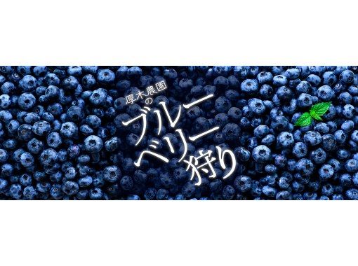 神奈川 厚木 ブルーベリー狩り 食べ放題 60分 ファミリー カップルにおすすめ 6月より開催 アクティビティジャパン