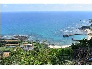 【鹿児島・奄美】奄美の大自然と触れ合える半日フリープラン（送迎付き・1組限定）の画像