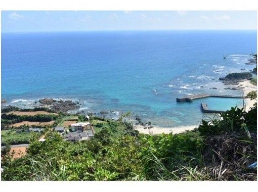 【鹿児島・奄美】お1人様大歓迎‼奄美の大自然と触れ合える貸切半日フリープラン（送迎付き・1組限定）の画像