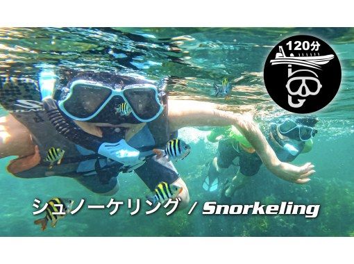【지바·카츠우라】 BOAT SNORKELLING 간토의 오키나와에서 2시간 스노클링 체험 20명까지の画像