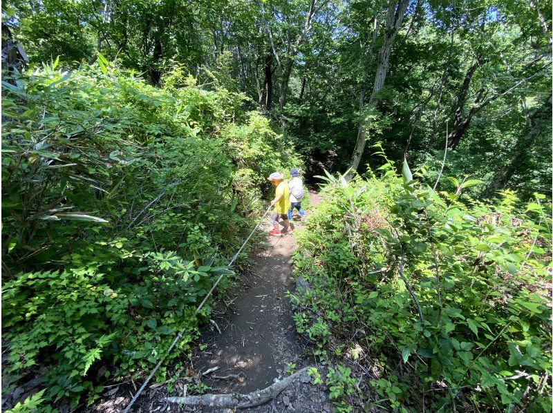 [Iwaki, Fukushima] Iwaki Aruki [Guided low mountain climbing] Nature trekking to Iwaki Fuji