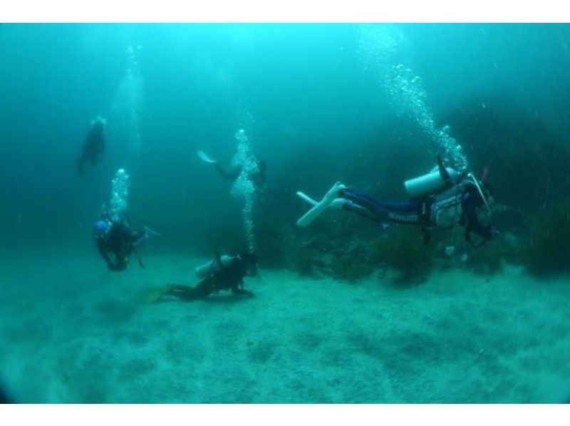 【山口・宇部市】楽しさ、感動をあなたに！青海島ファンダイビング！