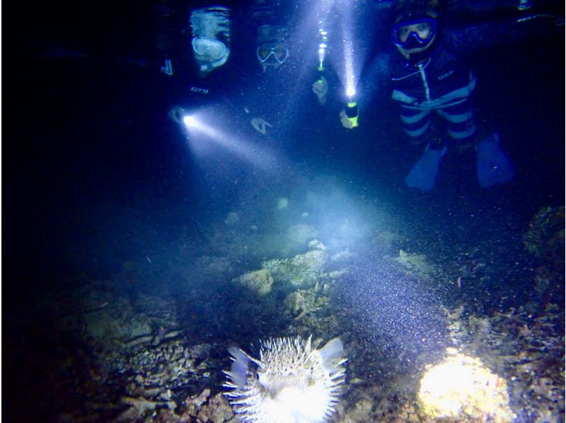 10000004296001_fYyciTKm_4.jpg?