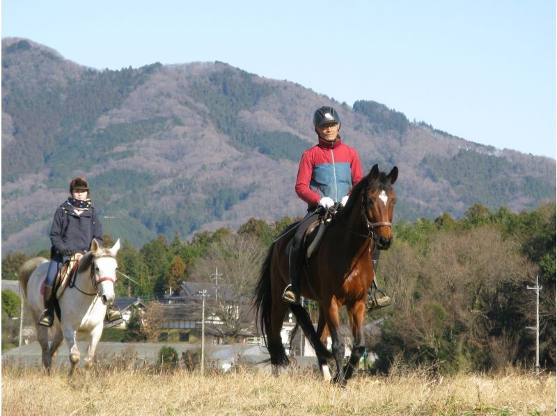 [Ibaraki/Ishioka] Outside riding (long ride horse trekking) 90 minutes course to enjoy on the Koisegawa riverbedの紹介画像