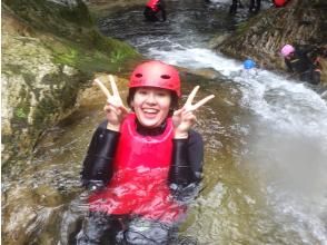ZIGGIES ADVENTURE JAPAN
