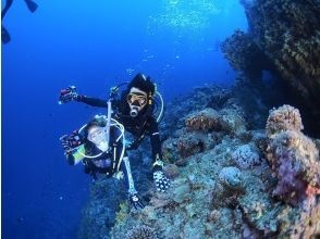 【東京・神奈川】2025年セール ☆PADI アドヴァンスセット☆送迎込み、Goldカード取得、レンタル無料、学科eラーニングで来店不要