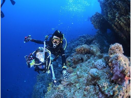 【東京・神奈川】2025年セール ☆PADI アドヴァンスセット☆送迎込み、Goldカード取得、レンタル無料、学科eラーニングで来店不要の画像
