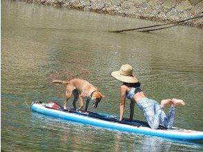 [Tokushima SUP experience] Immediate reservation OK! SUP & YOGA <Starting at 13:00 | Afternoon Plan> at Shishikui's Mizudoko Bay, Kaiyo Town, Tokushima Prefecture, designated as a national parkの画像