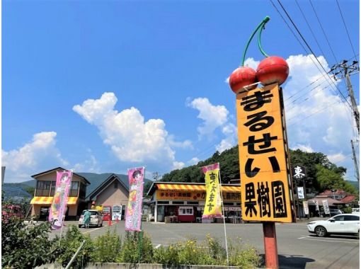 [Fukushima City, Fukushima Prefecture] Lucky and peach campaign is held! Summer is peach! 30 minutes of delicious peach picking at Marusei Orchard! Peace of mind with polite guidance ◎の画像