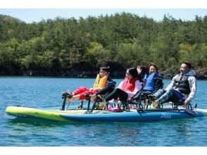 [Yamanashi, Lake Saiko] Spring Family Adventure! Special benefits for visitors in March: ・Receive a free marshmallow!