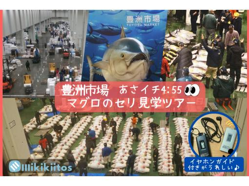 【東京・豊洲市場】豊洲市場マグロのセリ見学ツアー 朝イチ0455の画像