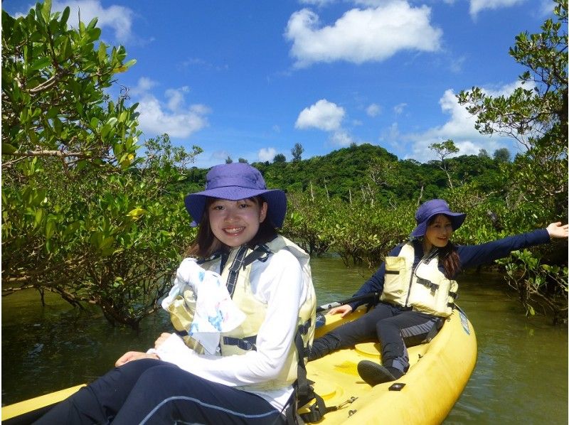Churaumi Aquarium Close to mangrove Kayak Tour 【2 hours 30 minutes course】 【From 5 years old】の紹介画像