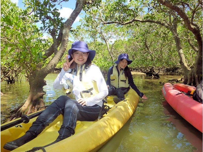 【北海道・SUP体験】透明度の高い支笏湖の湖面をクルージング！SUP体験（半日コース）の画像
