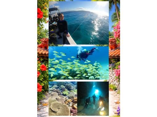 【沖縄・水納島/瀬底島】《送迎 可能》2ボート ファンダイビング※送迎範囲ありの画像