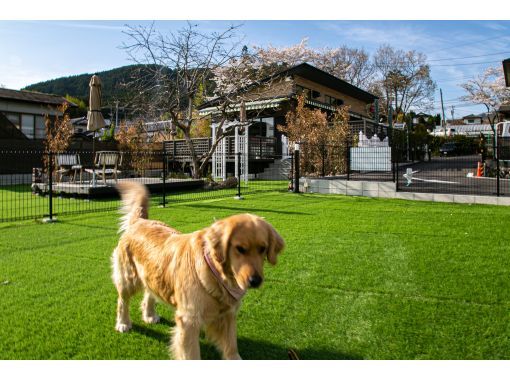 AS dog park reservation + private hot spring included [2 hours]の画像