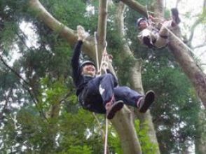 [Chiba / Kimitsu] Treeing! Let's enjoy the view from the tree! !!の画像