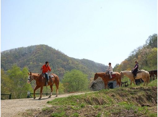 [Hokkaido/Hakkenzan (Sapporo)] Let's ride wild horses in the cowboy town "Wild Mustangs"! Horseback riding experience with shuttle vehicle (80 minutes)の画像