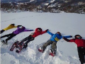 [秋田/白神山脈]白神雪地健行/輕鬆半日/適合初學者