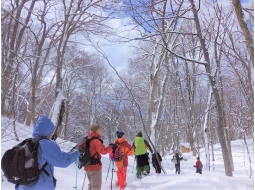 [Akita/Shirakami Mountains] Shirakami Snow Trekking★Coffee and roasted marshmallow experience includedの画像