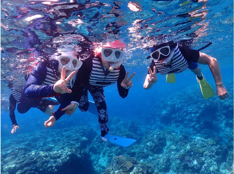 Recommended for beginners! [Miyakojima/Irabujima] Mysterious Blue Cave & Coral Sea Turtle Special Snorkeling Course! Free photos and drone aerial videosの紹介画像