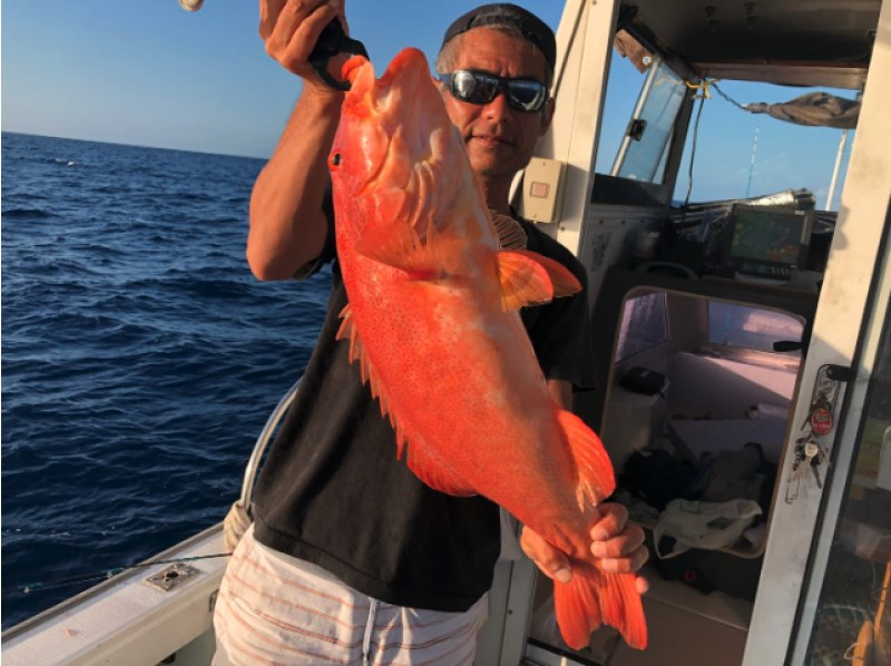 沖縄 釣り ツアー アクティビティ オプショナルツアーが満載 22最新 沖縄 釣り ツアー アクティビティ オプショナルツアーが満載 22最新