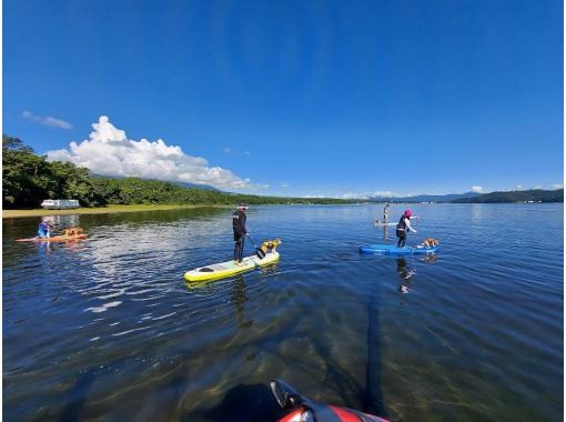 [Mt. Fuji / Lake Yamanaka] Beginners are welcome! SUP experience at Lake Yamanaka <120 minutes course> With children! Participation is OK from 10 years old! You can experience your dog together!の画像