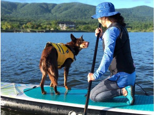[Mt. Fuji / Lake Yamanaka] Beginners are welcome! SUP experience at Lake Yamanaka <180 minutes course> With children! Participation is OK from 10 years old! You can experience your dog together!の画像