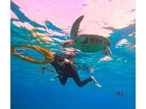 ★沖縄・宮古島・ウミガメやカラフルなお魚が沢山な大人気わいわいビーチシュノーケリング★写真データ無料★女性・カップル・家族におすすめ！