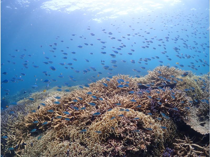【北海道・SUP体験】透明度の高い支笏湖の湖面をクルージング！SUP体験（半日コース）の画像