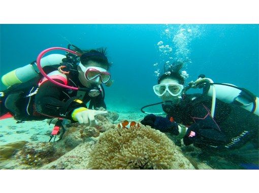 [Okinawa, Ishigaki Island] 2.5 hours Let's go see colorful fish! Trial diving Family discount now available!の画像