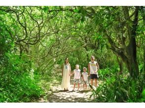 お得に石垣島をたっぷり♪川平湾～秘密のビーチに感動スポットまで！どどどーんと詰め込んだグレードアップ満喫プラン♪アドベンチャーフォトツアー！