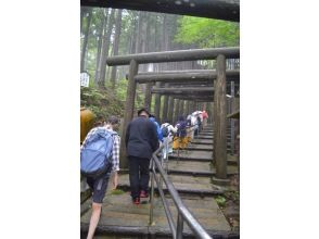 [和歌山 / 高野山] [1 晚 2 天] 高野山的小静修☆ 可以安排，让我们有自己的治疗体验♪の画像