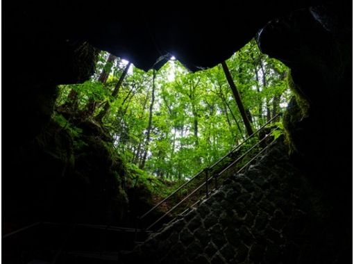 = Guided = Jukai Walk and Air Cave & Ice Cave Explorationの画像