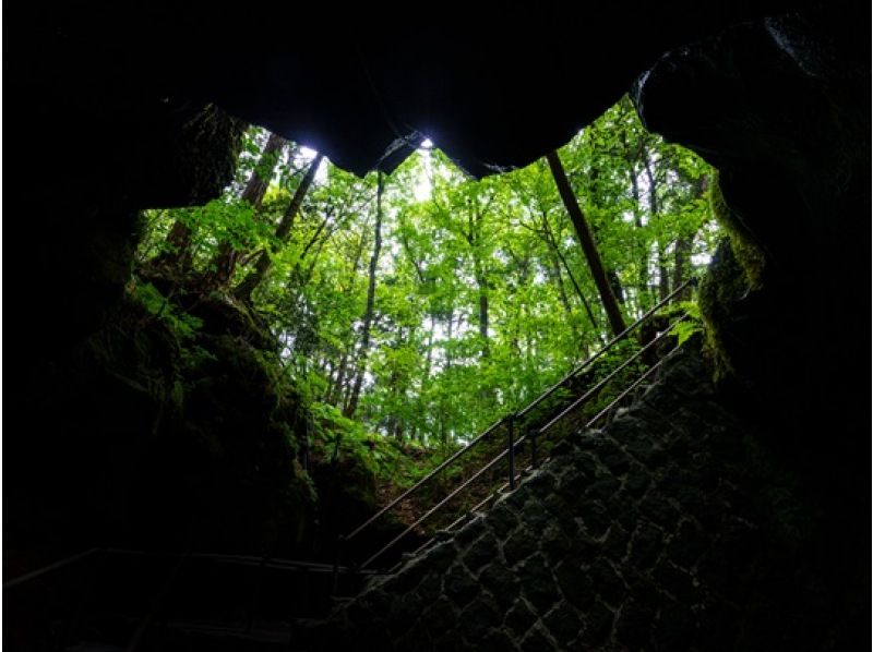 = Guided = Jukai Walk and Air Cave & Ice Cave Explorationの紹介画像