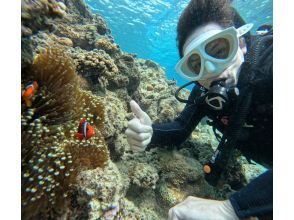 [Ishigaki Island/1 day] Landing on the phantom island & experience diving & sea turtle snorkeling ☆ Free GoPro rental ☆