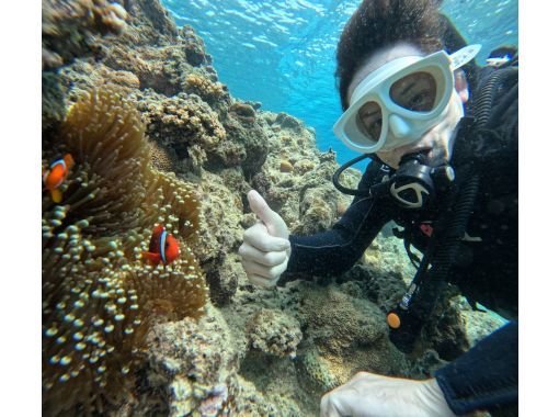 [石垣島/1天]登陸幻影島＆體驗潛水＆海龜浮潛☆免費GoPro租借☆の画像