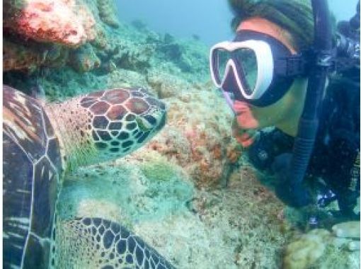 SALE! <Invoice system registered store> ☆ Free photo data & equipment rental ☆ Phantom island & trial diving & sea turtle snorkeling [Okinawa, Ishigaki Island]の画像