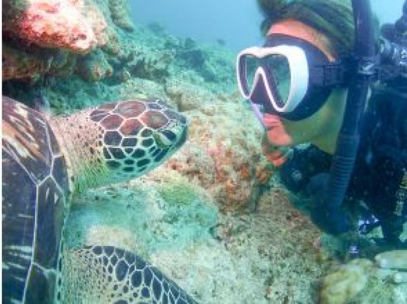 SALE! <Invoice system registered store> ☆ Free photo data & equipment rental ☆ Phantom island & trial diving & sea turtle snorkeling [Okinawa, Ishigaki Island]の紹介画像