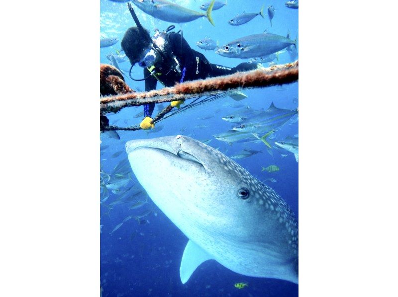 【北海道・SUP体験】透明度の高い支笏湖の湖面をクルージング！SUP体験（半日コース）の画像