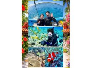 【沖縄・水納島/瀬底島】《送迎 可能》10歳からOKの離島 体験ダイビング※送迎範囲あり