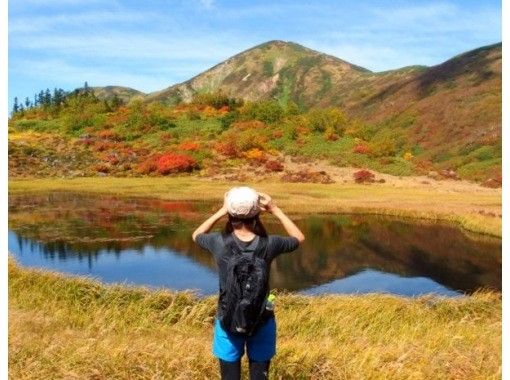 [Niigata/ Myoko] Go with a mountaineering guide Heavenly paradise Takaya pond Tengu garden hiking tourの画像