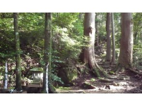 [Wakayama/Tanabe] Go to see the dragon god-Mikumano Retreat-Trip starting from Kumano Hongu Taisha