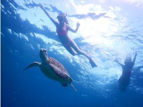 [Taketomi Island/Ishigaki Island/about 3 hours] Half-day snorkel tour! You might see sea turtles and manta rays! You can also go to remote islands and uninhabited islands!