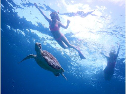 [Taketomi Island/Ishigaki Island/about 3 hours] Half-day snorkel tour! You might see sea turtles and manta rays! You can also go to remote islands and uninhabited islands!の画像