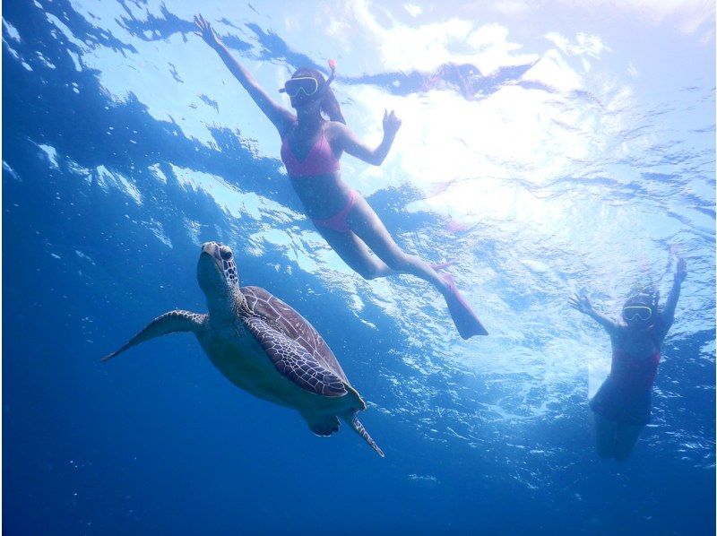 【竹富岛/石垣岛/约3小时】半日浮潜之旅！说不定还能遇见海龟、蝠鲼等。⭐︎还可以去偏远海岛、无人岛！の紹介画像