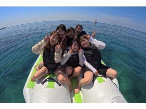 海洋商店貓頭鷹