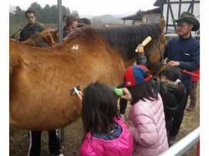 【岡山・勝央町】10名からの団体プラン みんなで馬と触れ合おう！(引き馬乗馬体験や馬の手入れなどご要望によって体験可能）