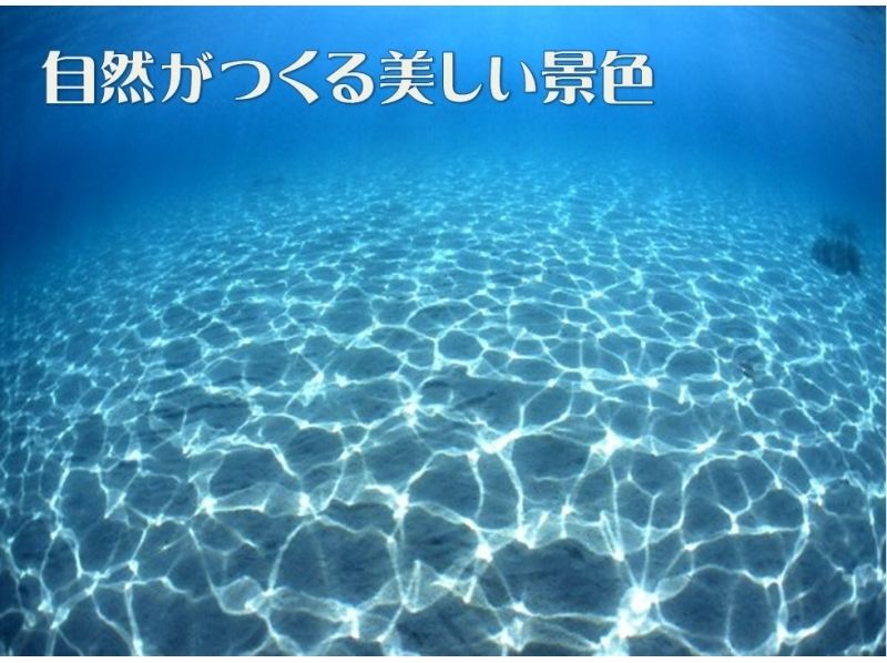 【佐渡・初心者向け！】体験ダイビング(3時間コース)
