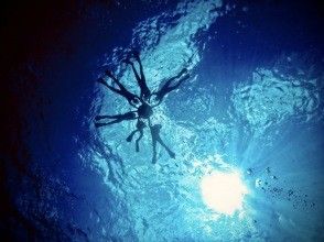 沖縄マリンサービス碧